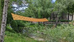 PXL 20230522 122950212