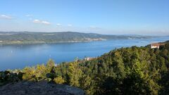 thumb 20240920 Bodman 1