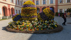 20250411 Mainau 01