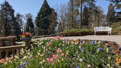 20250411 Mainau 02