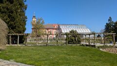 20250411 Mainau 08