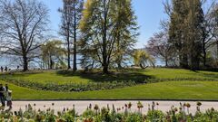 20250411 Mainau 31